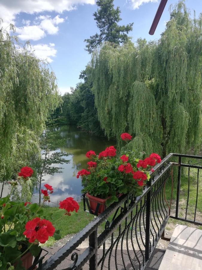Pensiunea Broscuta Хорезу Экстерьер фото