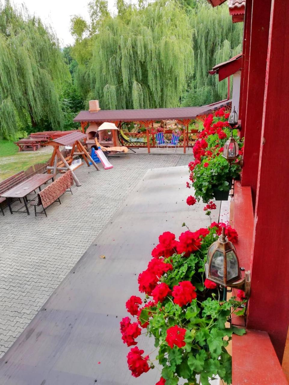 Pensiunea Broscuta Хорезу Экстерьер фото